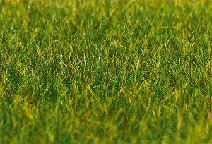 Dark Green Grass 6mm Premium Ground Cover Fibres (30g)