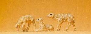 Lambs (3) Figure Set