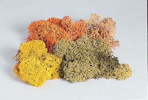 Hobby Lichens (4x10g)