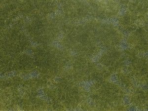 Dark Green Groundcover Foliage 12x18cm