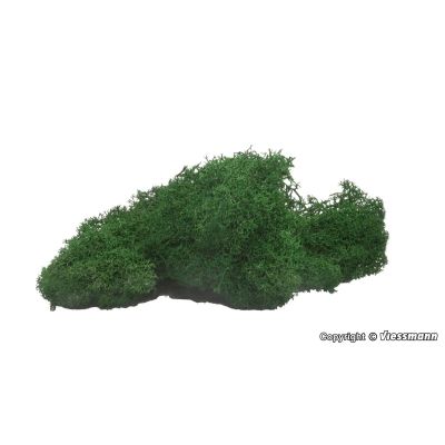Dark Green Moss (40g)